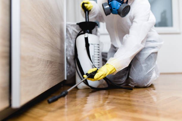 Best Termite Control Services  in Moa, UT