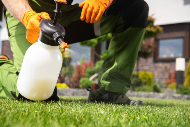 Best Best Pest Control Companies  in Moa, UT