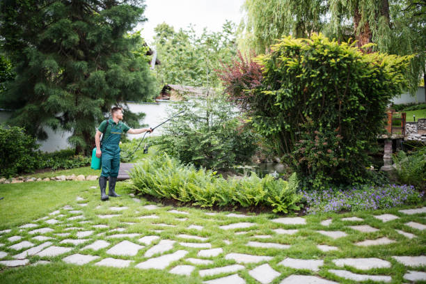Pest Prevention Services in Moa, UT
