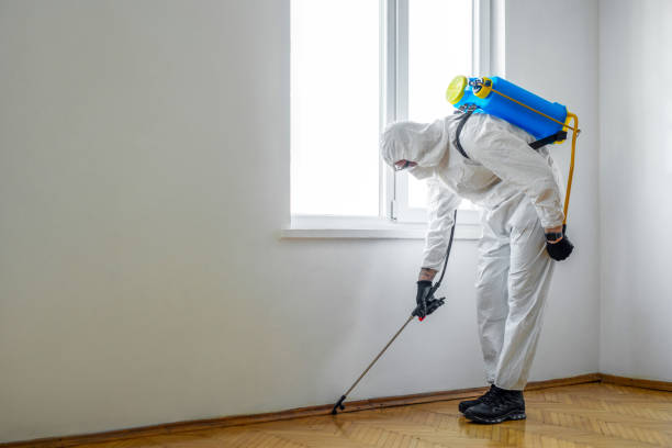 Best Local Pest Control Services  in Moa, UT