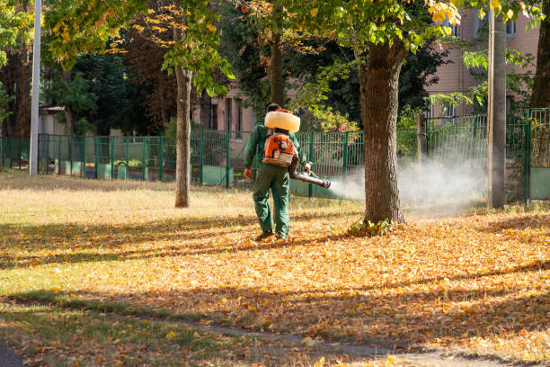 Best Affordable Pest Control Services  in Moa, UT
