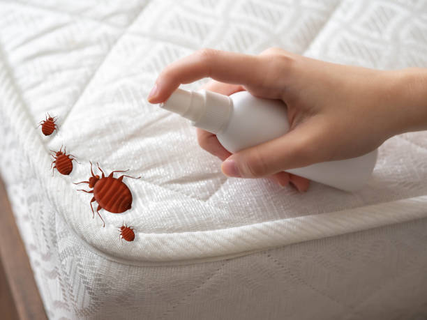 Best Local Pest Control Services  in Moa, UT