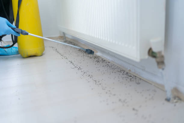 Best Pest Prevention Services  in Moa, UT